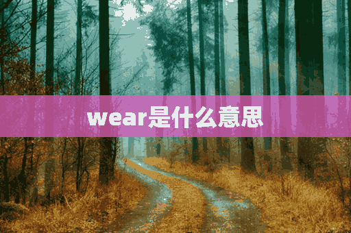 wear是什么意思